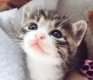 測繪CAD丨批量標注坐標,你不需要嗎?